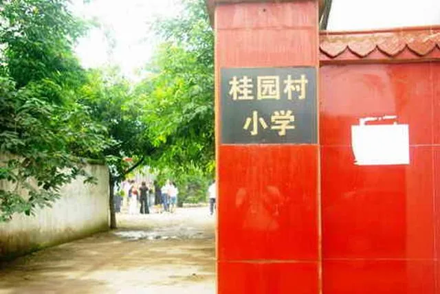 芬芳春蕾小学（原德阳广汉市新华镇桂园村小学）