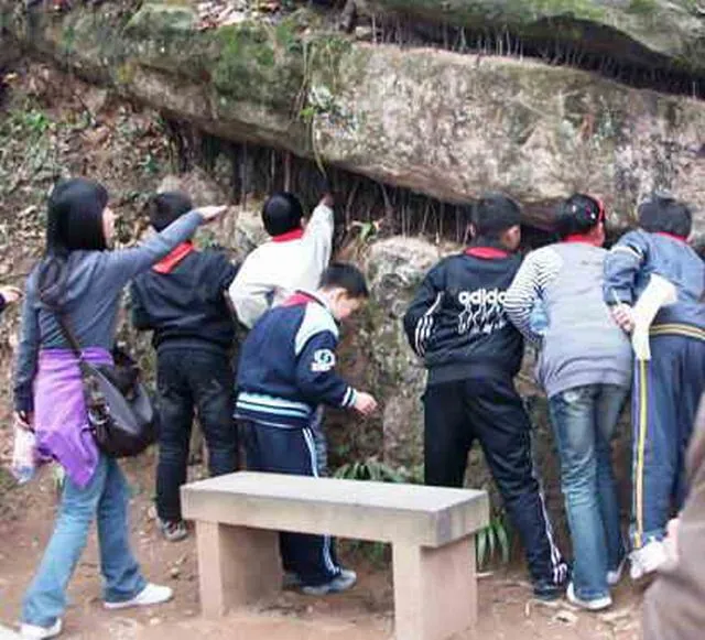 青城小学千元计划活动花絮--青城山道家胜地调查花絮