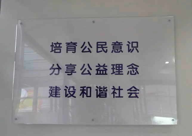 阳光种子行动秘书处参加NP1公益创投项目培训