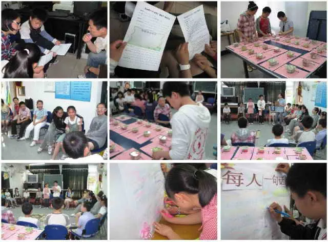 阳光千元计划之“展览花”项目正式实施