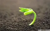 与中学生seed1205的沟通--关于如何成为阳光志愿者
