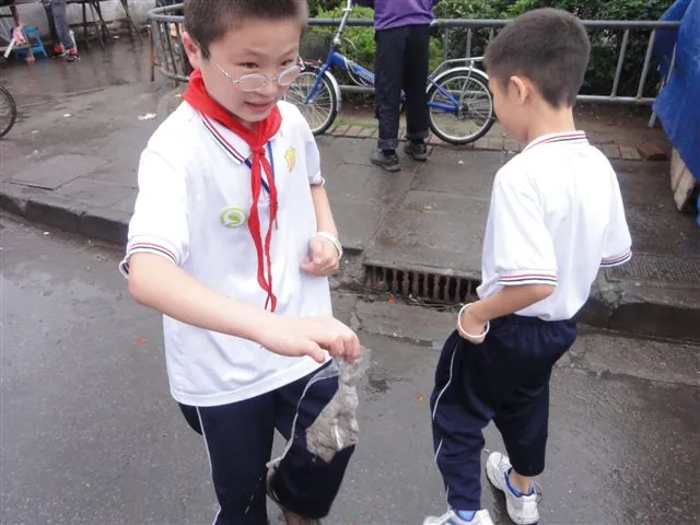 环保护绿行动--三桥小学志愿者实践活动报道（4）