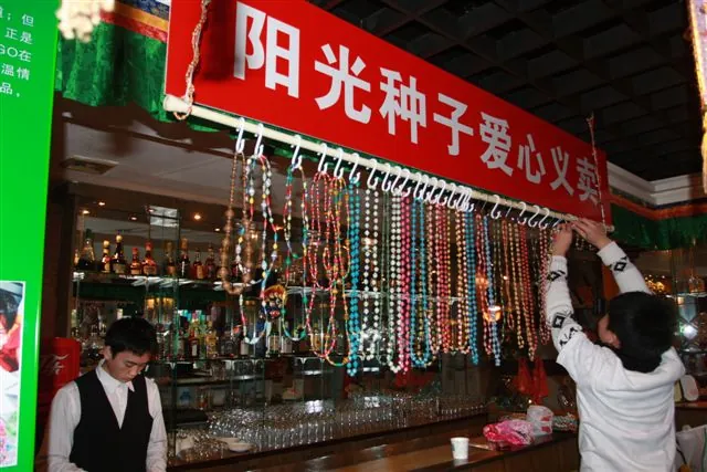 “阳光种子行动”2011年度志愿者联谊会