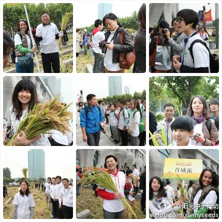 新春贺词---阳光在绽放，我们继续成长