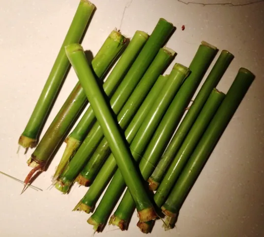 儿童时光