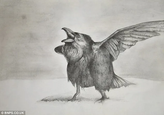 励志成长：画家展示从两岁开始24年内的作品[18P]