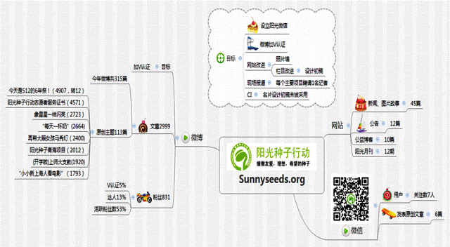 阳光种子三个媒体平台运营情况分析
