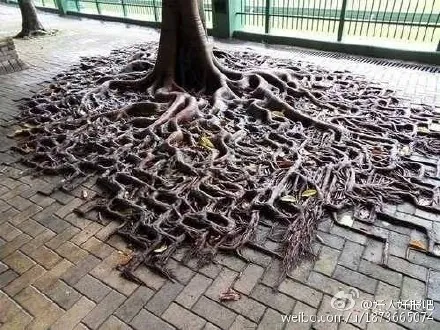 十元不尽