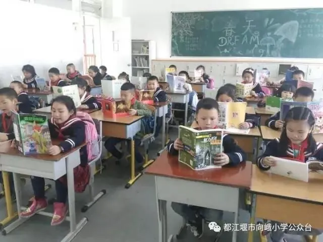四川都江堰市向峨小学“第一届读书节”