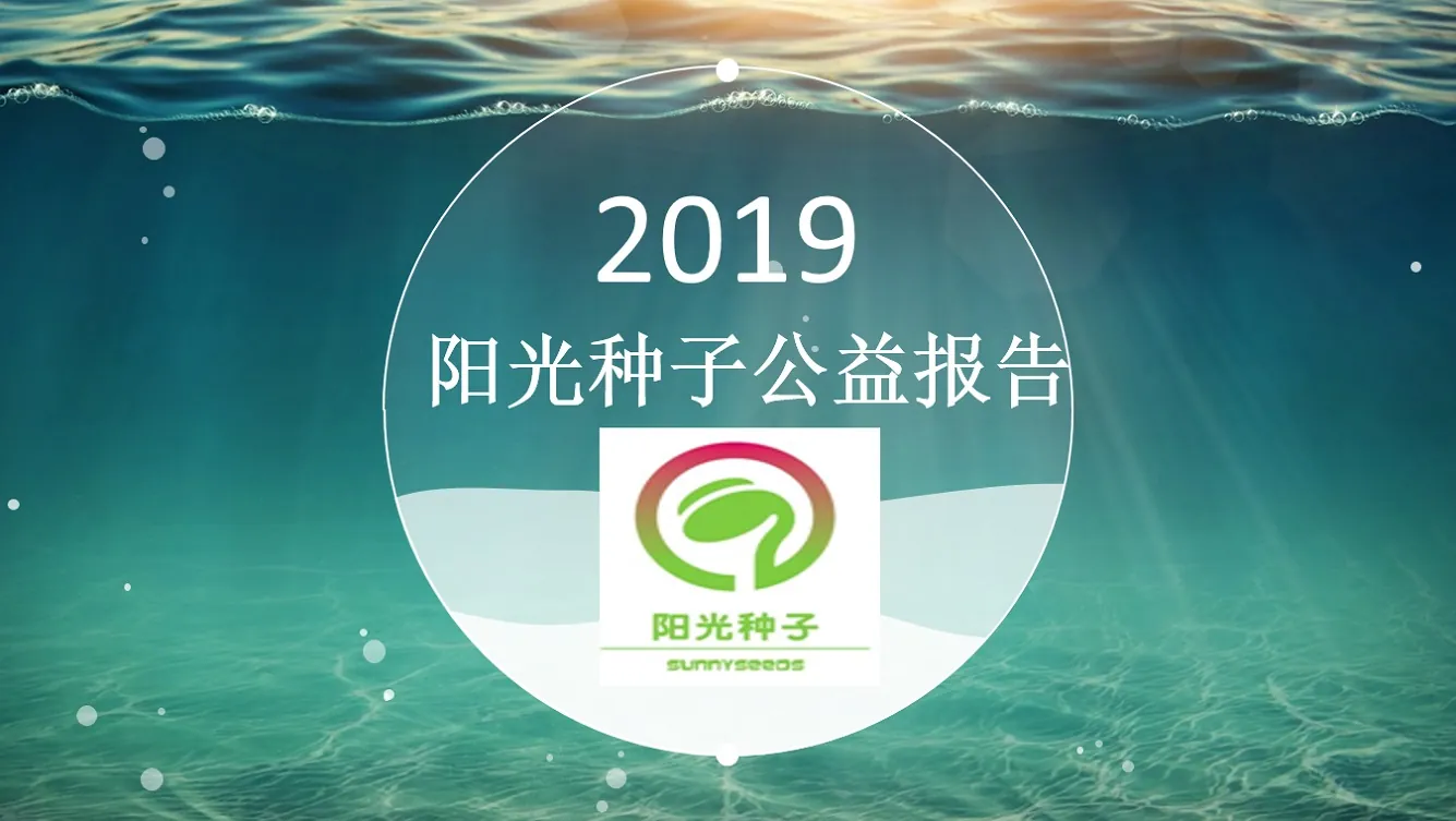 2019阳光种子公益报告